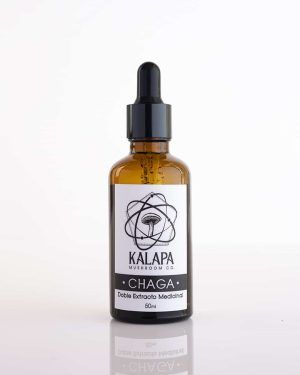 CHAGA KALAPA MUSHROOMS