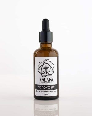CORDYCEPS kalapa mushrooms