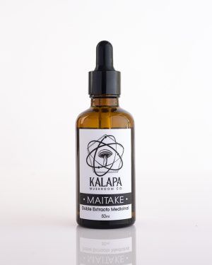 Comprar Maitake Kalapa Mushrooms