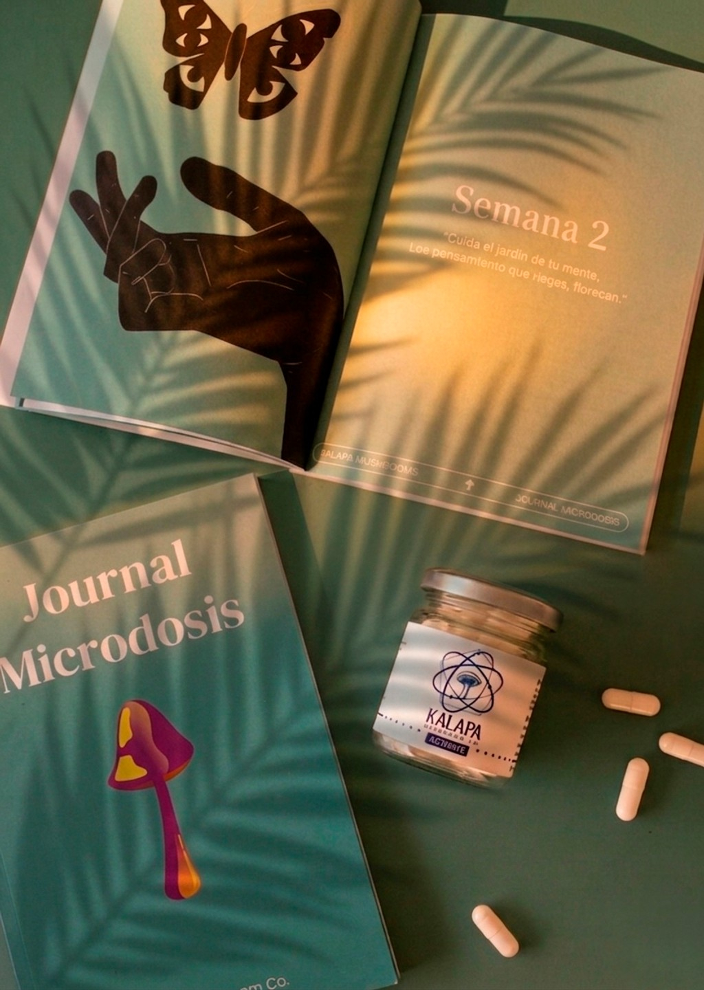 Journal Microdosis - Image 3